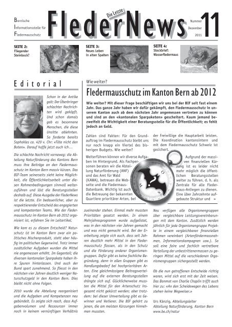 Fledernews 11 / 2011 - Fledermaus BE