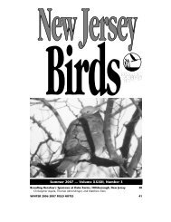 Summer 2007 - New Jersey Audubon Society