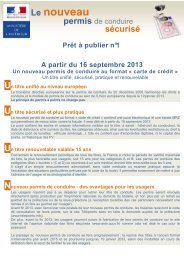 Prets_a_publier_permis_de_conduire - Site des professionnels du ...