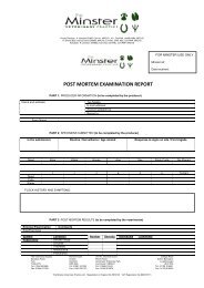 Post Mortem Form 2013 (pdf) - Minster Vets