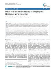 Major role for mRNA stability in shaping the kinetics of gene induction