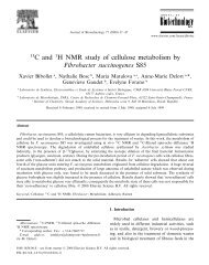 13C and 1H NMR study of cellulose metabolism by Fibrobacter ...