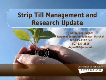 Strip Till Management and Research Update