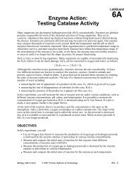 Enzyme Action: Testing Catalase Activity - Vernier Software ...