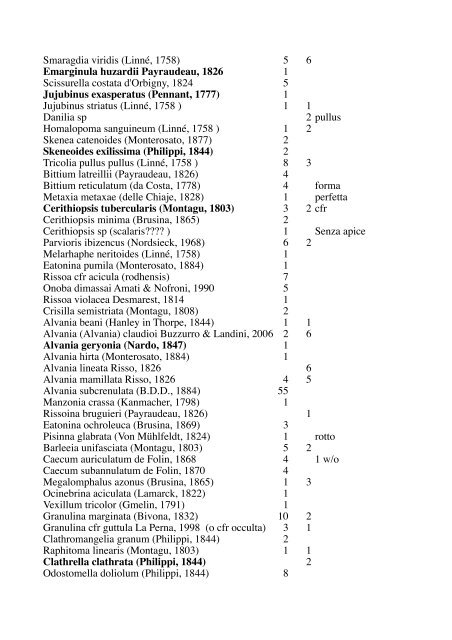 Smaragdia viridis (LinnÃ©, 1758) - Natura Mediterraneo