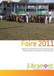 Rapport d'activité - La Foire de Libramont