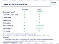 Haemophilus influenzae