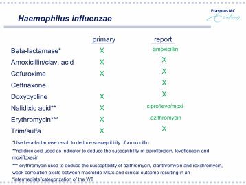 Haemophilus influenzae