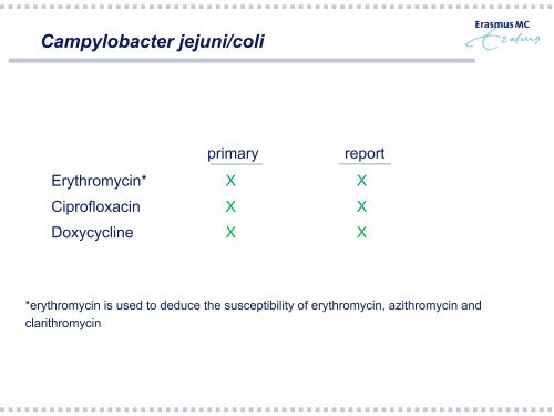 Haemophilus influenzae