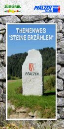 Stein - Pfalzen