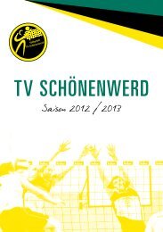 Radio TV HiFi Home-Cinema Satelliten Antennen - TV Schönenwerd