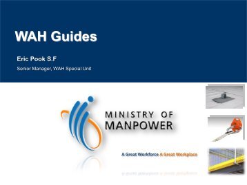 WSH Guidelines on WAH Personnel Protective Equipment and ...