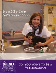How I Got Into Veterinary School - School of Veterinary Medicine