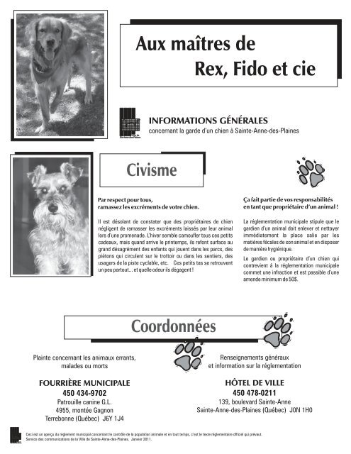 Chat Chien Sadp Cdr Ville De Ste Anne Des Plaines Chat Chien Sadp Cdr Ville De Ste Anne Des Plaines