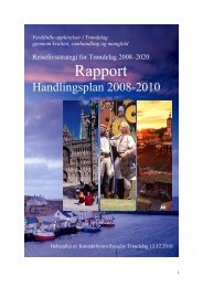Rapport – handlingsplan for reiselivet i Trøndelag 2008 - Bransjenett