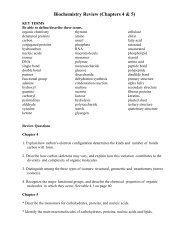 Biochemistry Review (Chapters 4 & 5)