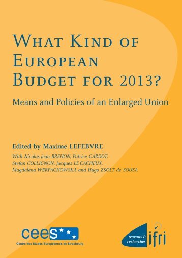 What Kind of European Budget for 2013? - Infoeuropa