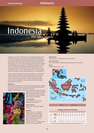 Indonesia - Airep