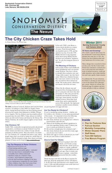 The City Chicken Craze Takes Hold - Snohomish Conservation District