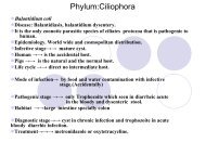 Luminal & intestinal flagellates