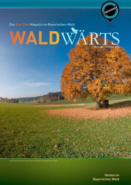 waldwaerts-online