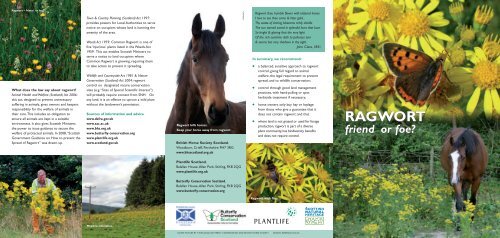 Ragwort Friend or Foe Leaflet - British Horse Society