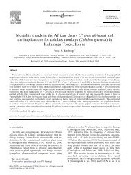 Mortality trends in the African cherry (Prunus africana) and the ...
