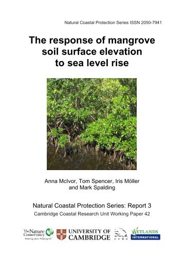 McIvor et al 2013 Response of mangrove soil surface elevation to sea level rise