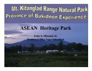 Mt. Kitanglad Range Natural Park - Rainforestation