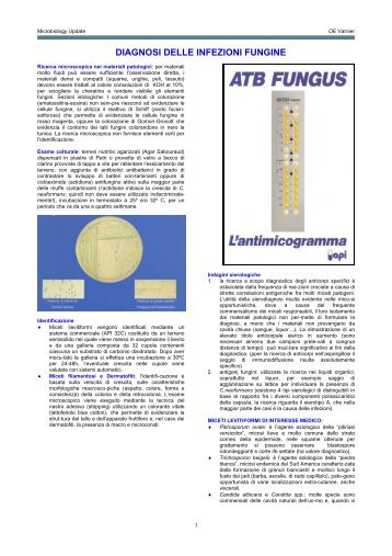 DIAGNOSI DELLE INFEZIONI FUNGINE - Sezione di Microbiologia