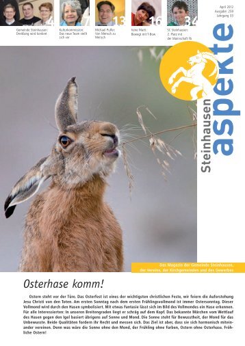 Ausgabe 04/2012 (Grösse 9.1 MB) - Aspekte Steinhausen