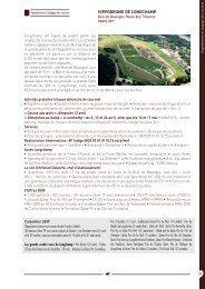 Bo n°4 Plat - France Galop
