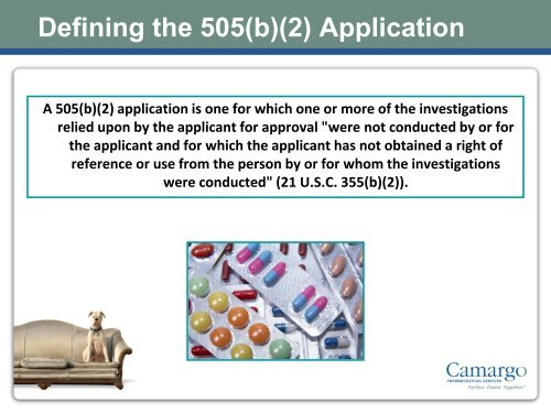 US 505(b)(2) Regulatory Pathway and Strategies