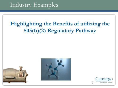 US 505(b)(2) Regulatory Pathway and Strategies