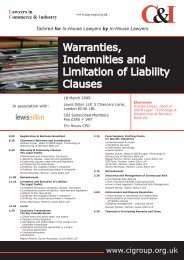 Warranties, Indemnities and Limitation of Liability Clauses - C&I Group