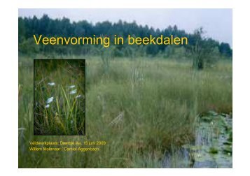 Veenvorming in beekdalen - VeldwerkPlaatsen
