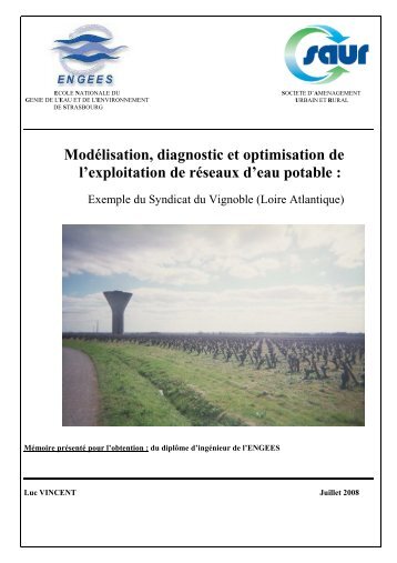 PDF (Rapport) - ENGEES