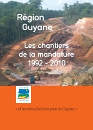 3 - Région Guyane