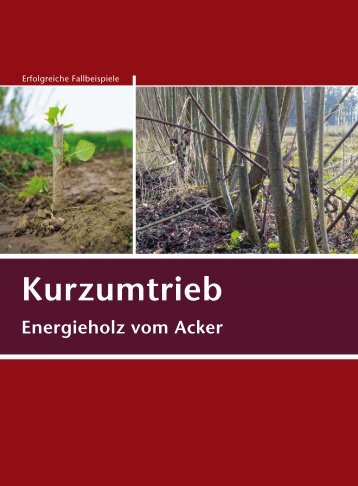 Kurzumtrieb - Energieholz vom Acker - Biomassehöfe Stmk