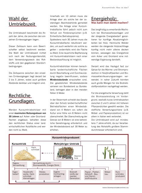 Kurzumtrieb - Energieholz vom Acker - Biomassehöfe Stmk