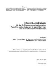 Anhang 5: Informationsstrategie - Interpret