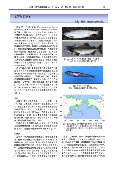 サケ科魚類のプロファイル-7 カラフトマス - 水産総合研究センター