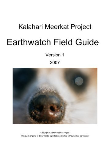 Earthwatch Field Guide - The Kalahari Meerkat Project