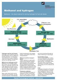 Methanol and hydrogen (1.9 MB) - Danish Technological Institute