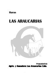 haras las araucarias 2013.pdf - criadores.cl