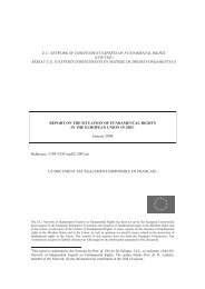 eu network of independent experts on fundamental rights (cfr-cdf)