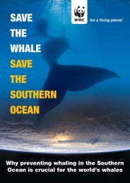 Save the Whale, Save the Southern Ocean PDF - wwf - Australia