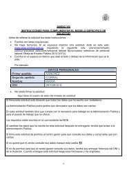 Instrucciones Modelo específico de solicitud