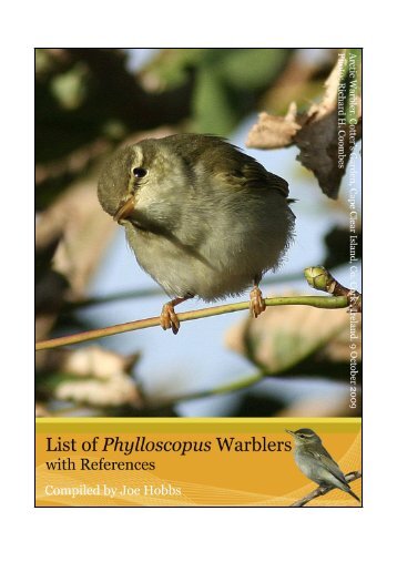 PDF - Dutch Birding