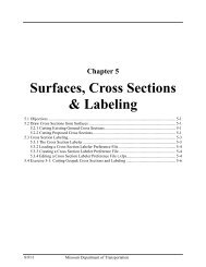 MCMC Chapter_05-Cross_Sections_and_Labeling.pdf